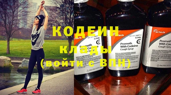 прущие грибы Кодинск