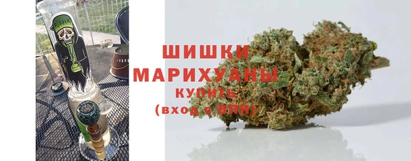 прущие грибы Кодинск