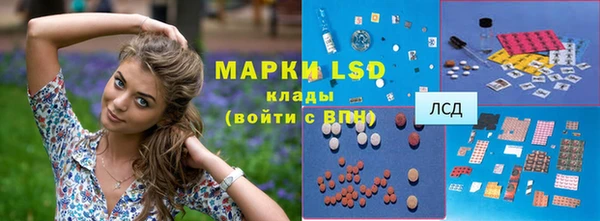 прущие грибы Кодинск