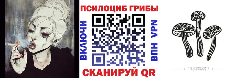 Псилоцибиновые грибы прущие грибы  Купить где  Кизилюрт 